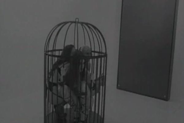 Caged Sex