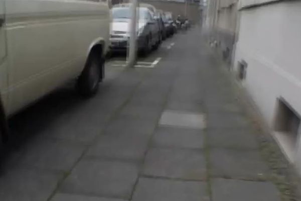 En skovtur
