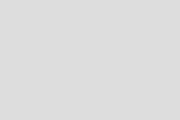 Oriental Chicks Crave Chocolate Dicks 3