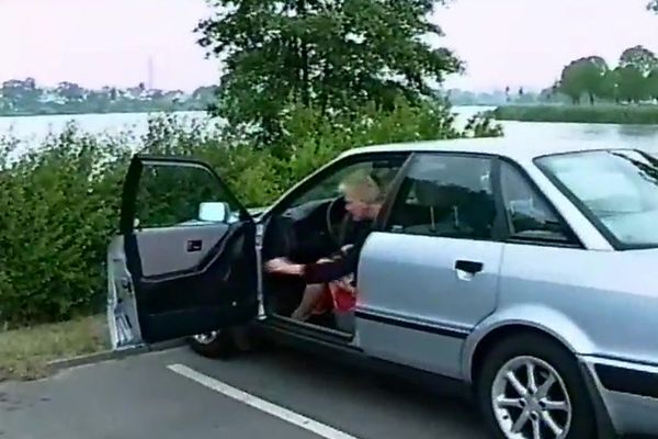 Dansk privat vol 5
